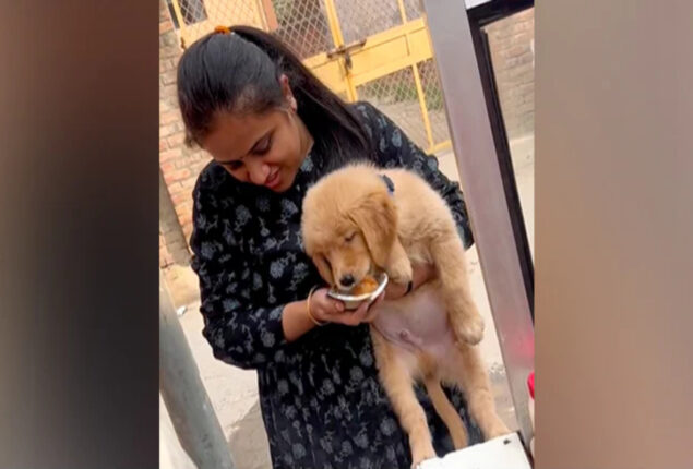 Woman Pani Puri