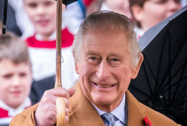 King Charles III’s idea to narrow down monarchy finally comes into action