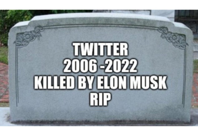 Rip Twitter storms on internet with funny memes