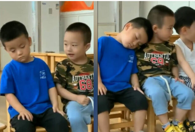 Cute little boy