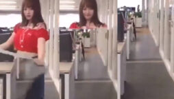 Japanese woman vanish on camera with invisibility cloak: Watch