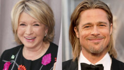 martha stewart brad pitt