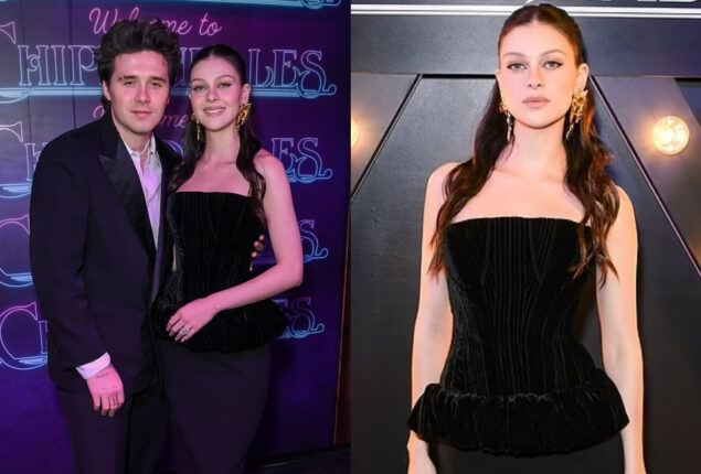 Welcome to Chippendales Experience: Nicola Peltz takes internet by storm in peplum top