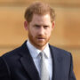 Prince Harry’s potential’shouldn’t be underestimated’ says Experts