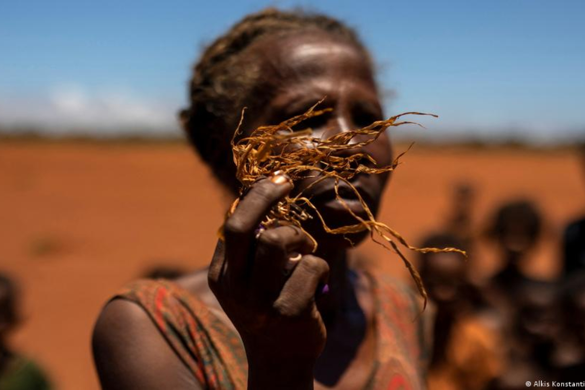 Black and brown populations 'left out of climate conversations'