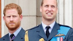 Prince William met King Charles and Prince Harry at his vacation residence