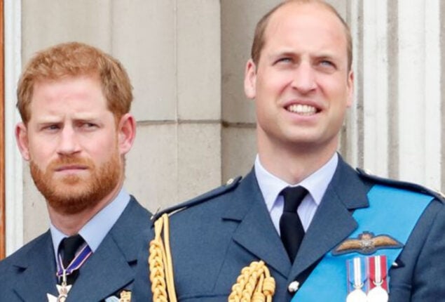 Prince William met King Charles and Prince Harry at his vacation residence