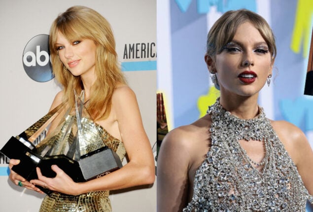 Taylor Swift attended the American Music Awards and lived up to her wildest dreams