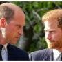Despite William’s disapproval, Prince Harry is expected to return to the UK
