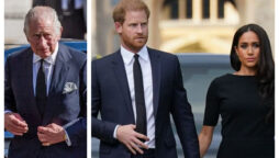 King Charles asked Meghan and Harry to stop challenging the royal 'power structure'