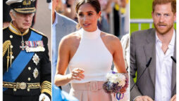 Meghan Markle is ‘sick of’ hounding Harry about King Charles’ snub
