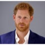 Prince Harry will be “left out in the cold” following the Netflix series