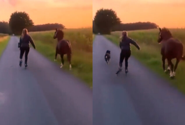 Woman skating with horse