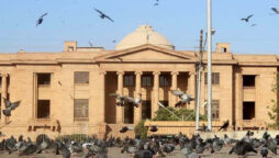 SHC instructs IG Sindh to submit report on Azam Swati’s  cases