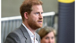 Why is Prince Harry trying to find out about the past?