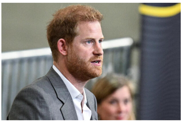 Why is Prince Harry trying to find out about the past?