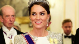 Kate Middleton is a vision in royal purple before a glamorous banquet