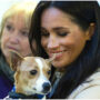 Meghan Markle has turned into ‘sad desperate puppy’
