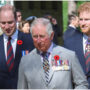 King Charles ‘tried his best’ with William and Harry, after Diana’s death