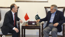 Finance Minister Ishaq Dar meets with Chinese Ambassador