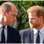 Prince William and Prince Harry’s children to reconcile this Christmas?