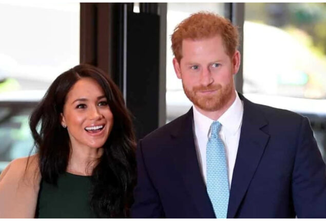 Prince Harry and Meghan Markle accused of “trespassing on dangerous waters”