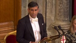 Rishi Sunak: The heyday of British-Chinese relations is over