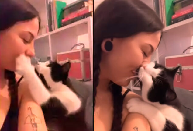 Watch viral: Cat massages and kisses its pet mother’s cheek