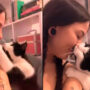 Watch viral: Cat massages and kisses its pet mother’s cheek