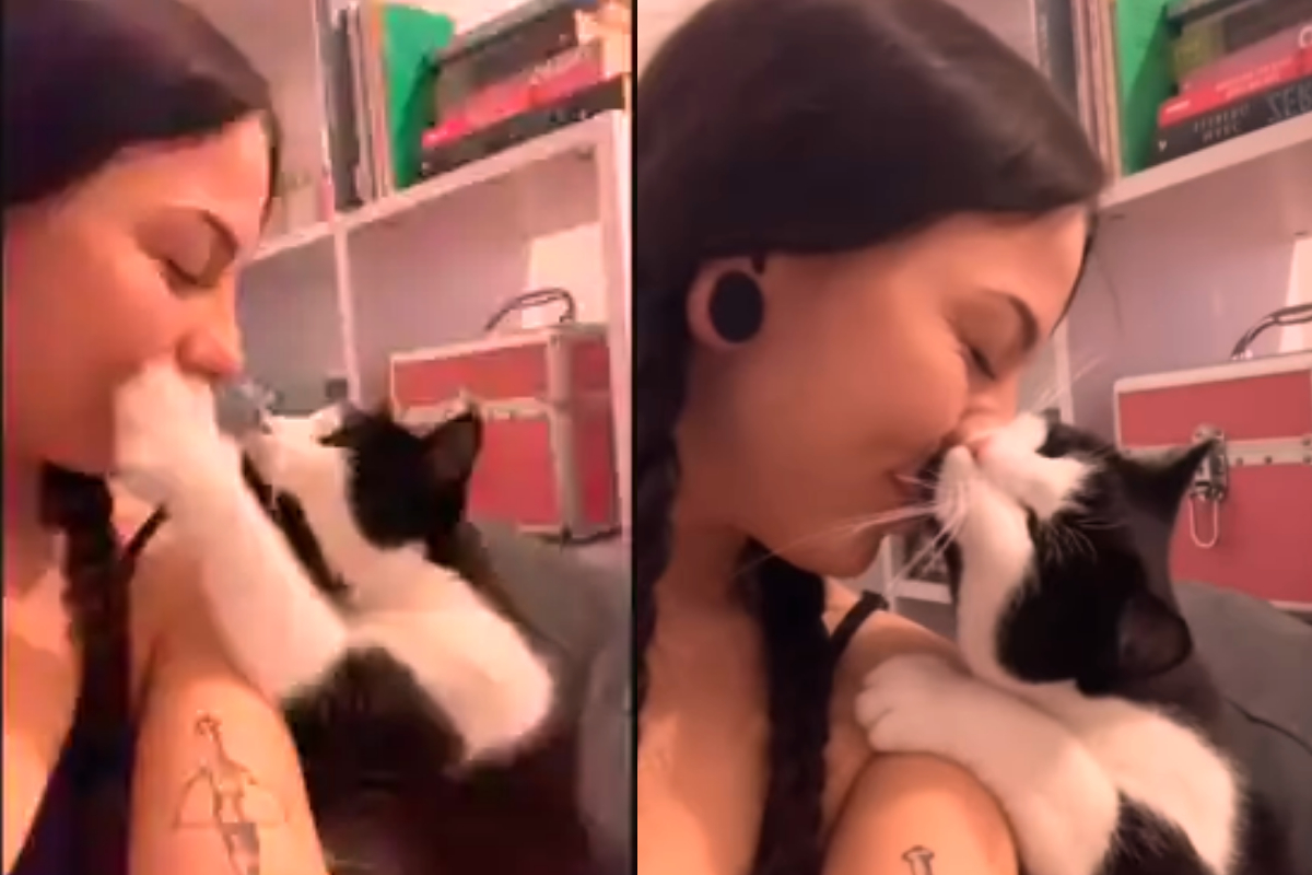 Cat kisses pet mother cheek