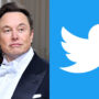 Under Elon Musk, Twitter is more dangerous: Former employee