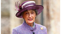 Prince William’s godmother resigns over racism allegations