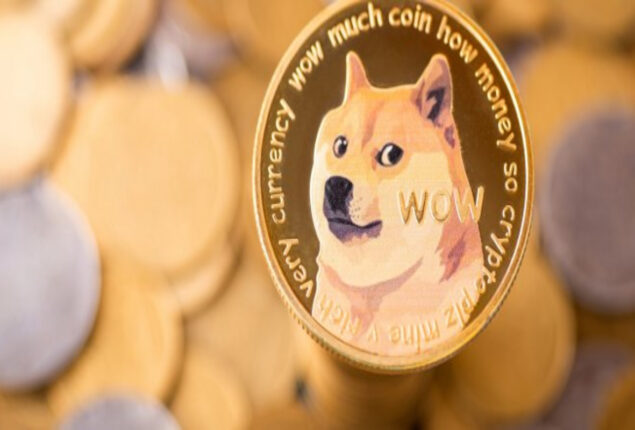Doge Price