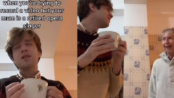 Retired opera singer performs with her son: Netizens love it