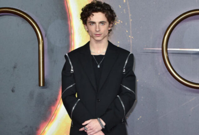 Timothée Chalamet: ‘Bones and All’ inspired by youth’s struggles