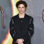 Timothée Chalamet: ‘Bones and All’ inspired by youth’s struggles
