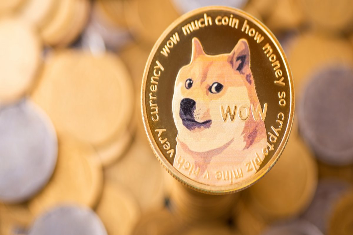 Doge Price