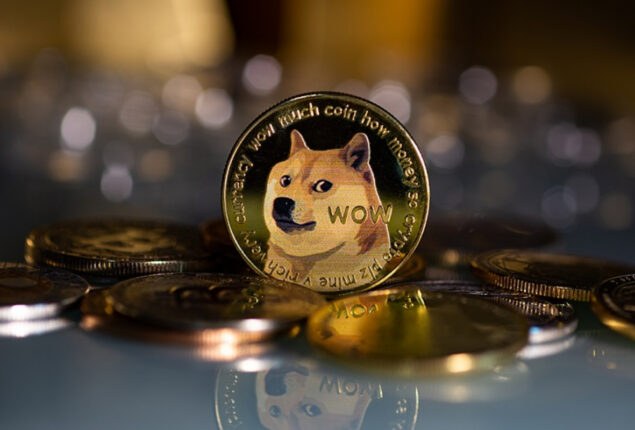 Doge Price