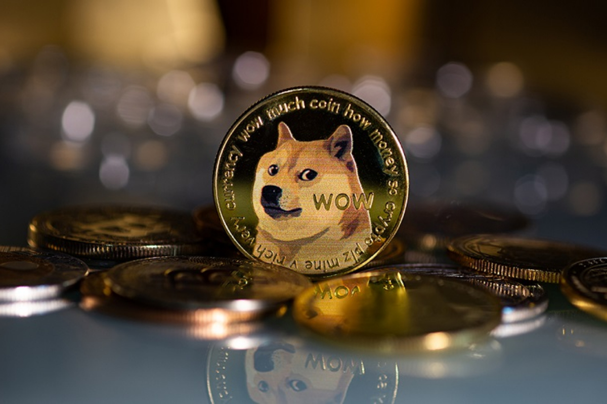 Doge Price