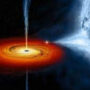 How are Black Holes Different from Wormholes?
