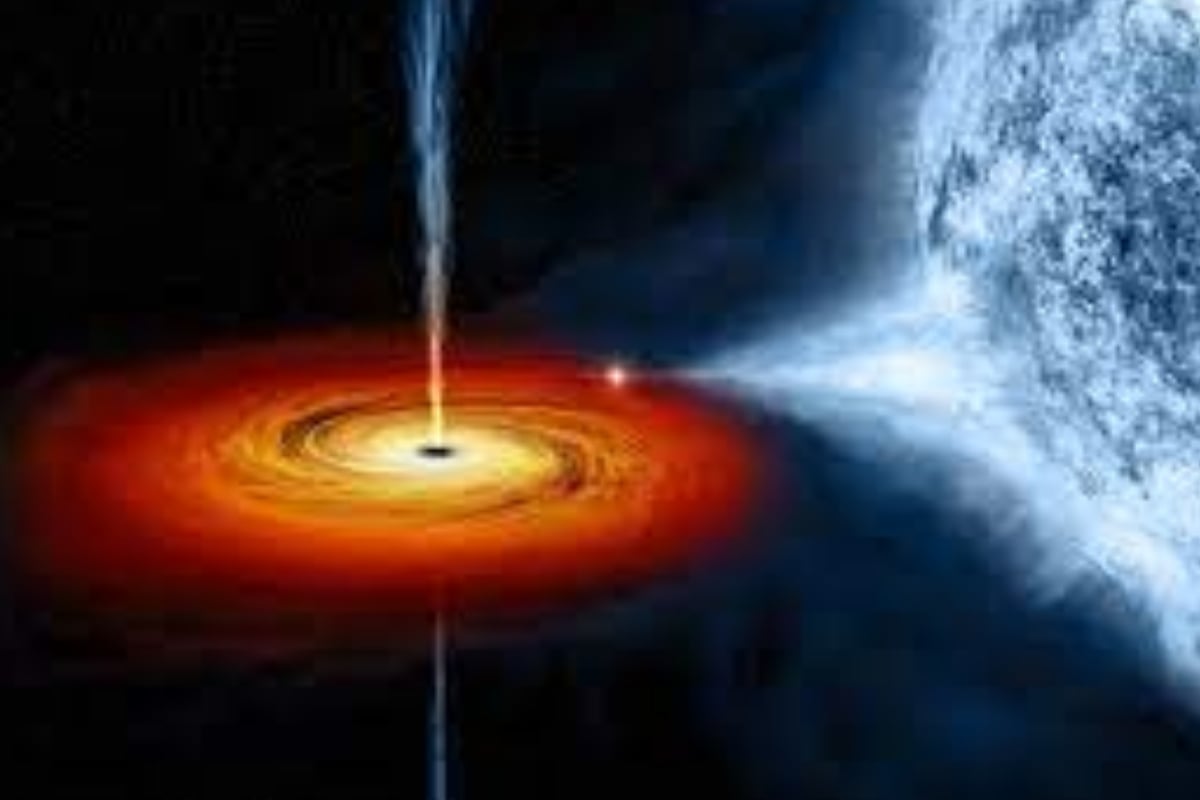 Black Holes