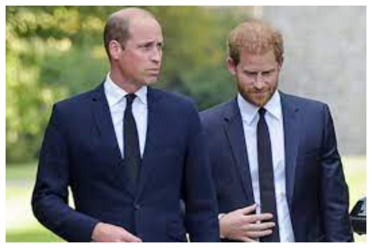 Harry was happy to have less work to do than William