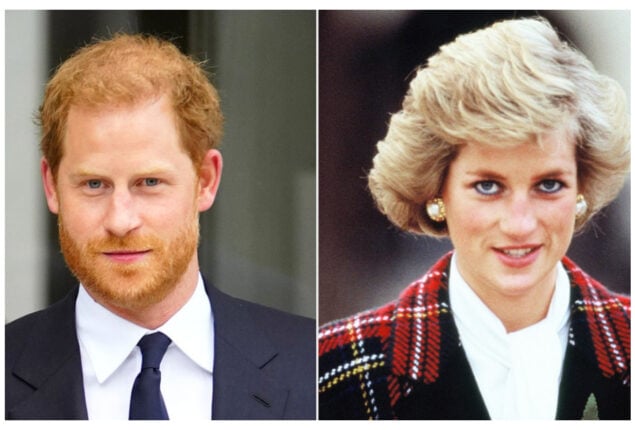 Prince Harry like THIS advise of Princess Diana