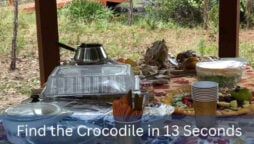 This optical illusion takes 13 seconds to find the crocodile