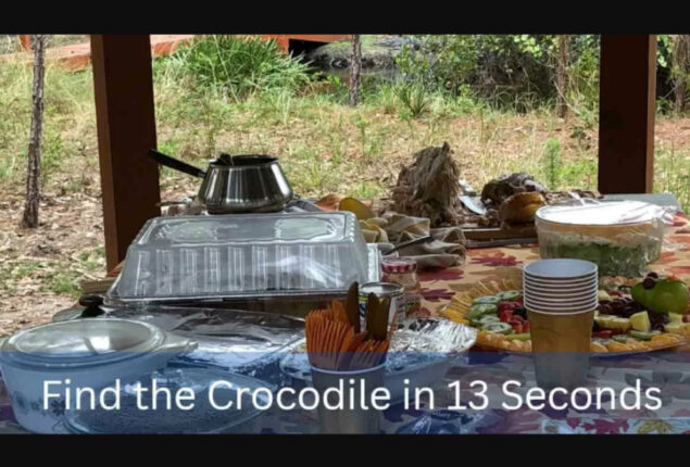 This optical illusion takes 13 seconds to find the crocodile