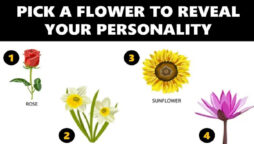Flower Personality Test
