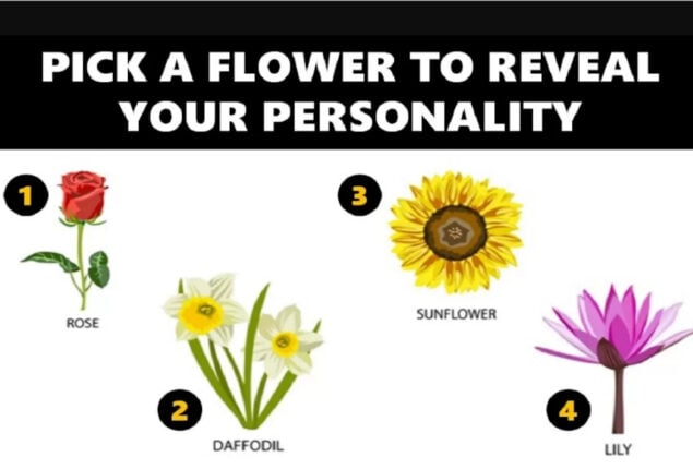 Flower Personality Test