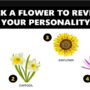 Flower Personality Test: Pick a Flower to Reveal Your True Traits