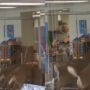 Viral Video Shows Deer Breaking into New York Nursing Home
