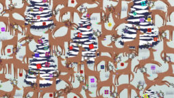 Optical Illusion: Spot the Red Nosed Reindeer in 30 Seconds?